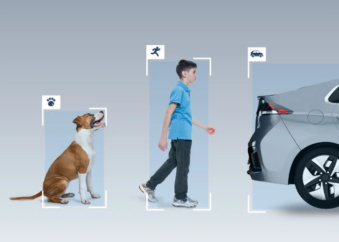 Reolink Duo 2V PoE
4K 8MP UHD IK10 Vandal-Proof PoE IP Camera with 180° Panoramic View displaying pet human and vehicle detection