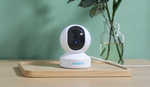 Reolink E1
Pan-Tilt Indoor Camera for Any Budget on wooden board with plant and green wall