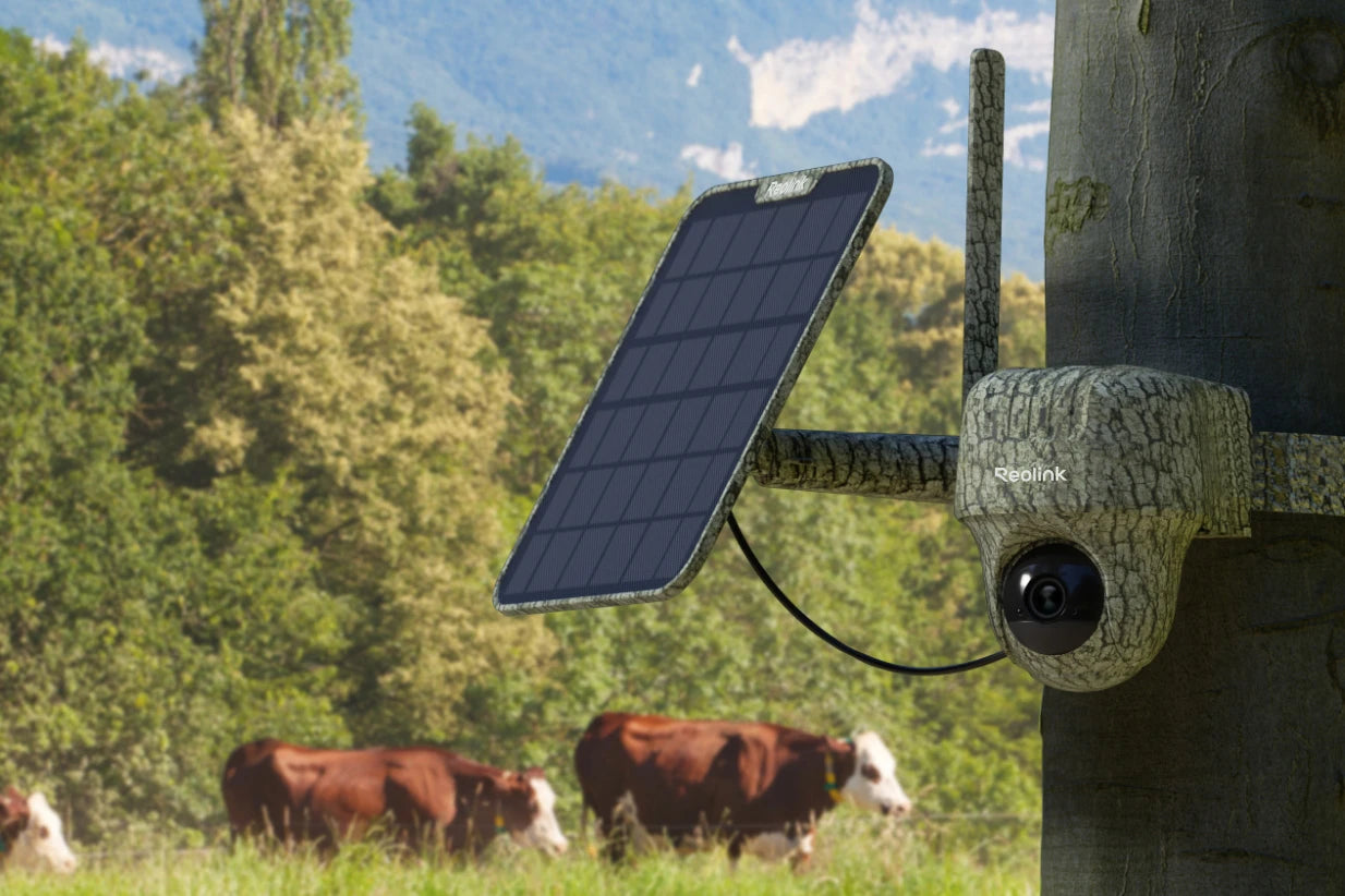 Reolink Go Ranger PT First 4K 4G LTE Wildlife Camera with 360° All-Around View strapped to tree looking over and protecting cow field