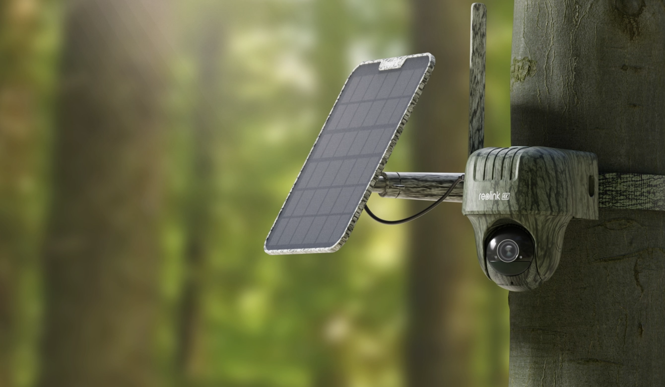 Reolink Go Ranger PT First 4K 4G LTE Wildlife Camera with 360° All-Around View strapped to tree in forest with solar panel