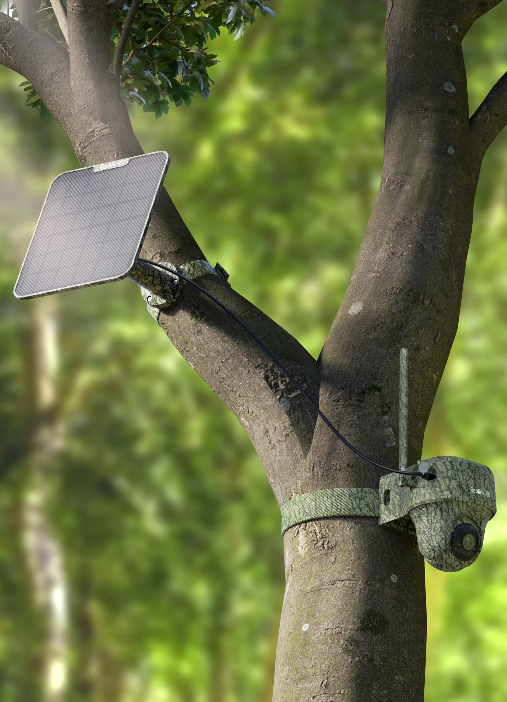 Reolink Go Ranger PT First 4K 4G LTE Wildlife Camera with 360° All-Around View Strapped to tree in forest with solar panel