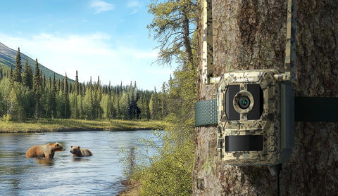 Reolink Talon Pro 4K 4G LTE Game and Trail Camera with Live View & Starlight Night Vision tied to tree next to a rive with bear and bear cub swimming