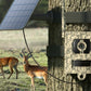 Security Box For Talon Pro Wildlife Reolink Camera