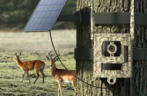 Security Box For Talon Pro Wildlife Reolink Camera