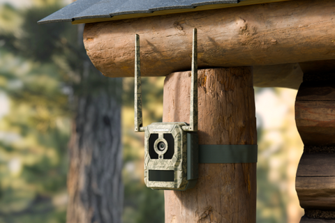 Reolink Talon Pro 4K 4G LTE Game and Trail Camera with Live View & Starlight Night Vision tied to log cabin in the forest