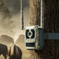 Reolink Talon Pro 4K 4G LTE Game and Trail Camera with Live View & Starlight Night Vision strapped on tree in the wild with buffalo in the background