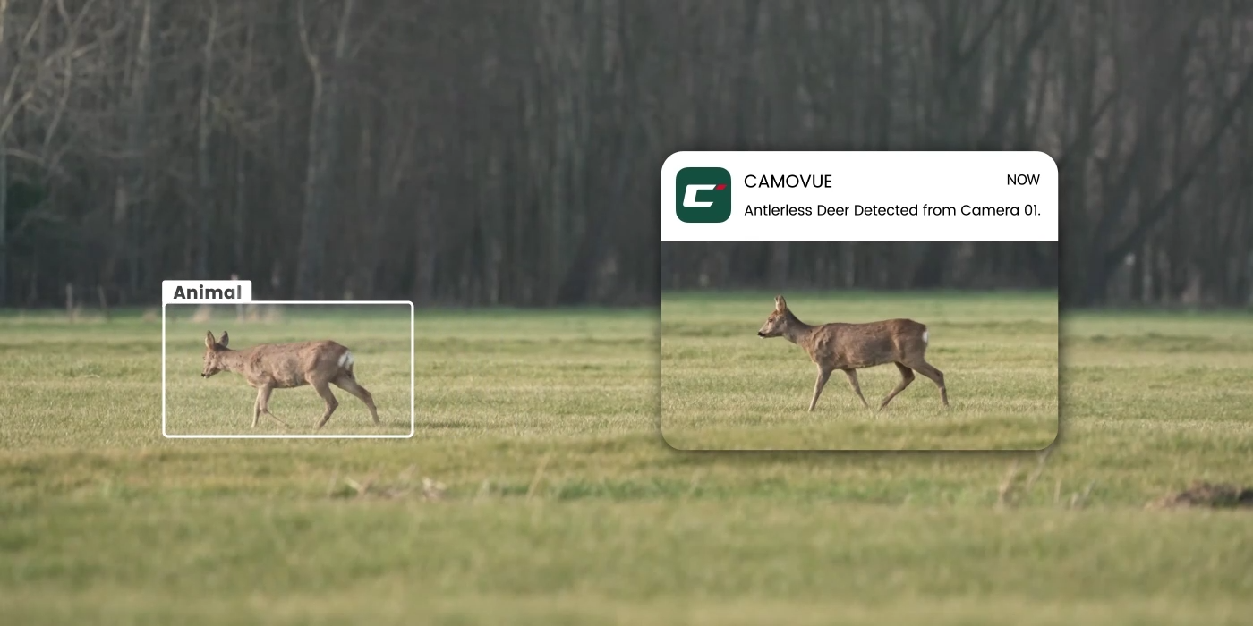 Reolink Talon Pro 4K 4G LTE Game and Trail Camera with Live View & Starlight Night Vision combue app demonstration capturing deer and sending notification to phone