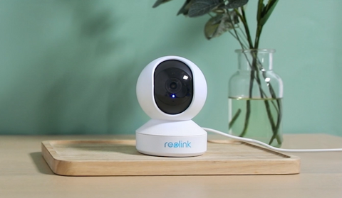 Reolink E1
Pan-Tilt Indoor Camera for Any Budget on wooden board with plant and green wall