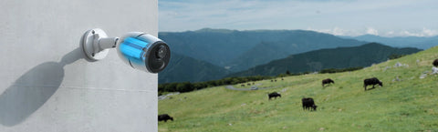 Reolink Go Plus Smart 4MP 4G Battery Camera viewing cow field with blue highlight graphic for rechargeable battery