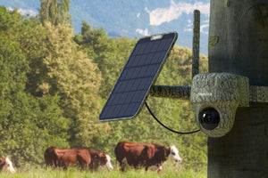 Reolink Go Ranger PT First 4K 4G LTE Wildlife Camera with 360° All-Around View strapped to tree looking over and protecting cow field