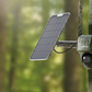 Reolink Go Ranger PT First 4K 4G LTE Wildlife Camera with 360° All-Around View strapped to tree in forest with solar panel 