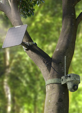 Reolink Go Ranger PT First 4K 4G LTE Wildlife Camera with 360° All-Around View Strapped to tree in forest with solar panel 