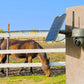 Reolink Go Ranger PT First 4K 4G LTE Wildlife Camera with 360° All-Around View mounted to post with solar panel look over horse paddock 