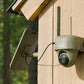 Reolink Go Ranger PT First 4K 4G LTE Wildlife Camera with 360° All-Around View Reolink Go Ranger PT First 4K 4G LTE Wildlife Camera with 360° All-Around View mounted to wooden building with solar panel