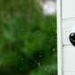 Reolink RLC-833A 4K Security IP Camera with Color Night Vision on external wall testing IP67 Weatherproofing in the rain